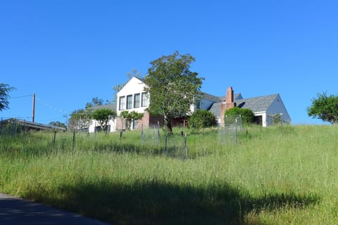 View from front drive