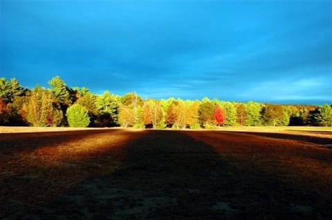 Prospect Street Cemetery in Fall