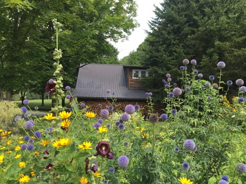 Meadow View