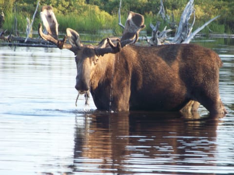 Local resident enjoying a snack