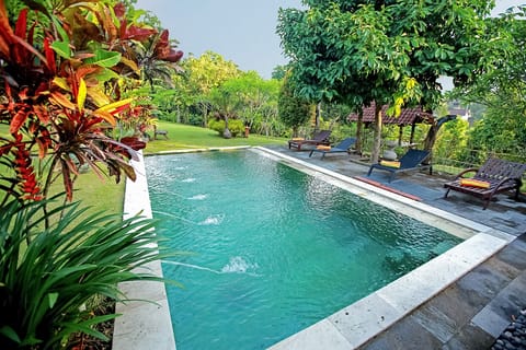Pool and Garden