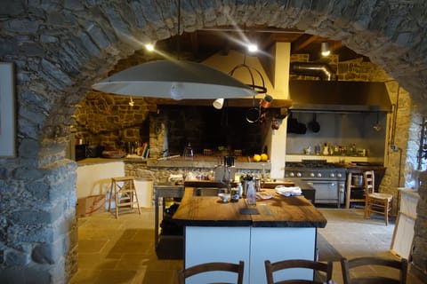 professional kitchen with open fire cooking 

