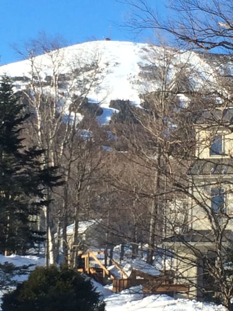 View from the living room. Time to go skiing!