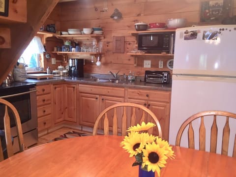 Fully equipped kitchen...even electric ice cream maker.