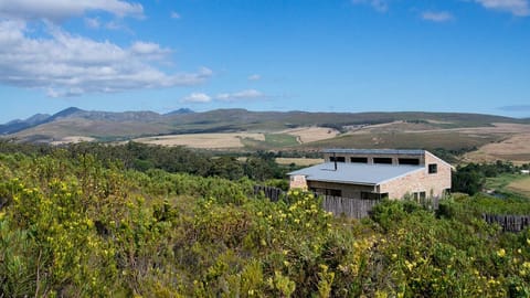 Oxalis Cottage amongst the fynbos