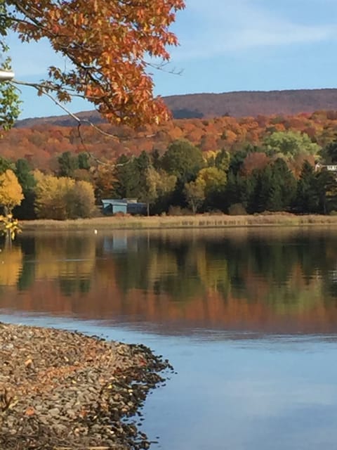 View standing on the dock 