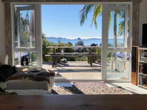 view from the kitchen bench !