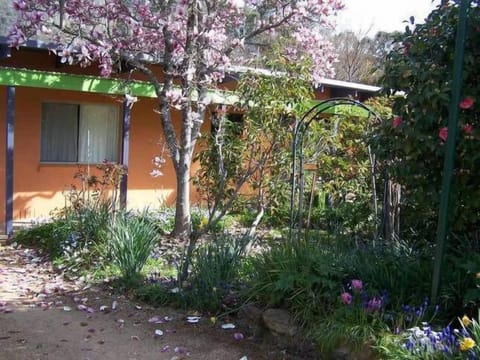 Exotic Magnolia, azaleas and Rhododendron feature in the property front.