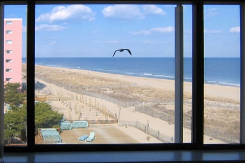 VIEW FROM DINING ROOM