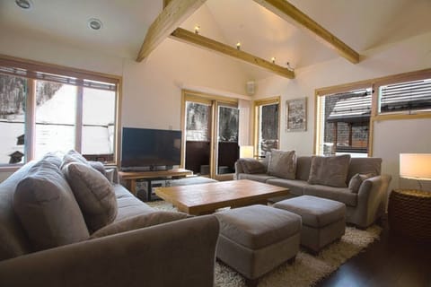Living room overlooking the mountain, Milk Run trail and the river trail