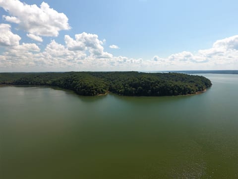 Our forested property is surrounded by 184 miles of Kentucky Lake.