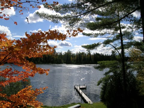 View from the cover portion of the large Trek deck built around 3 large trees