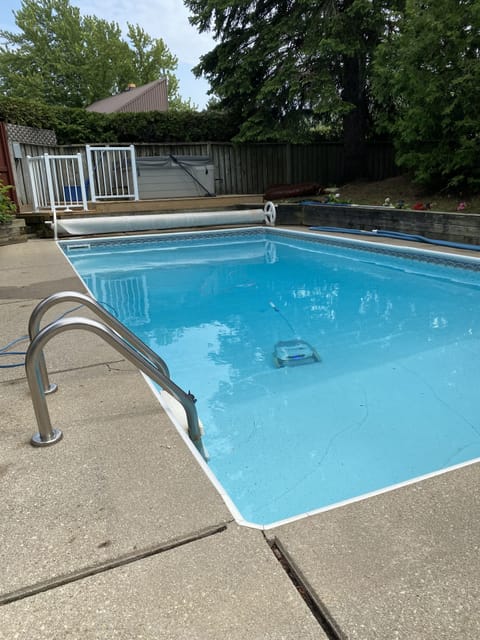 Pool with Dolphin robot!!