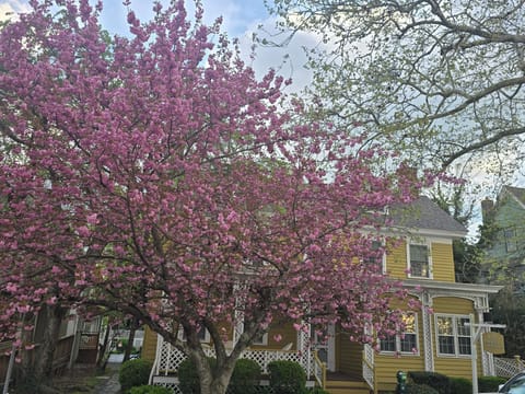 front street view. 
