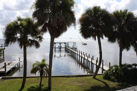 view from patio