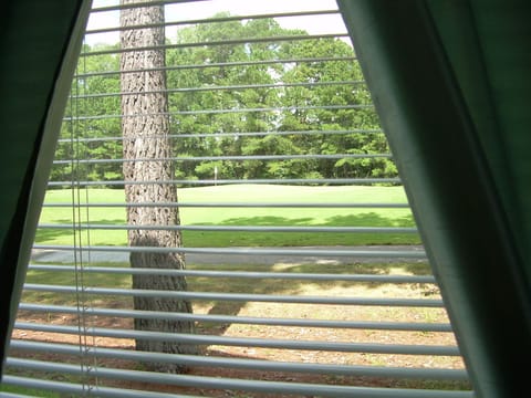 The View of out the Rear Window