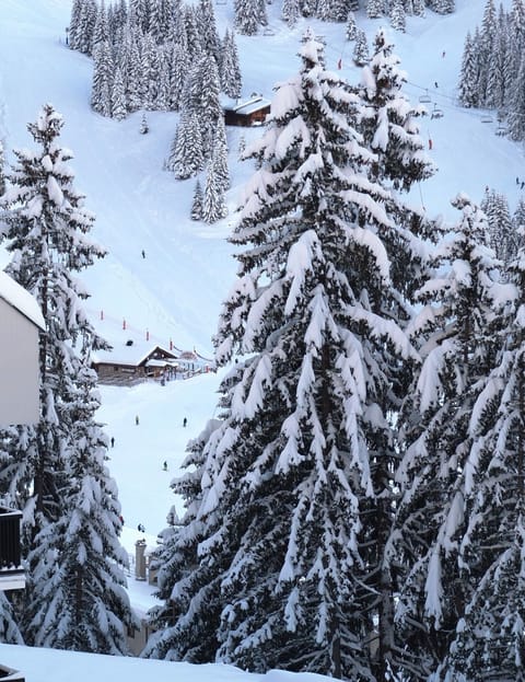 View from the studio to the Forum