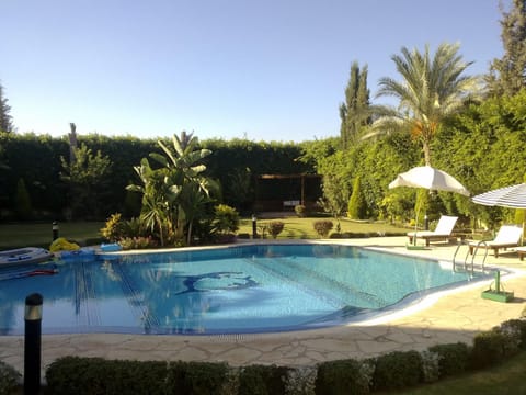 Pool view
