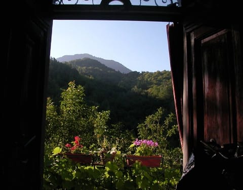 Looking out through the front doors over the vines to hills above Casoli.