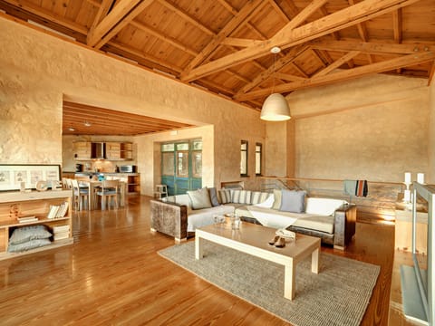 Living room with cathedral ceiling