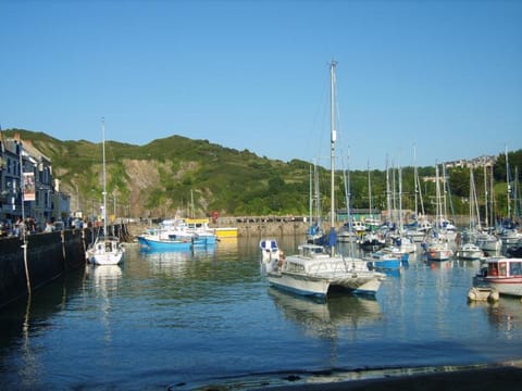 Ilfracombe harbour - great views and lots to do