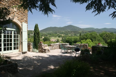 In the shade of the Cedar tree