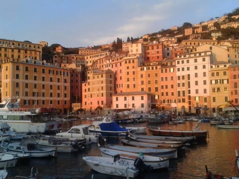 The harbor at sunset from the windows of the living room