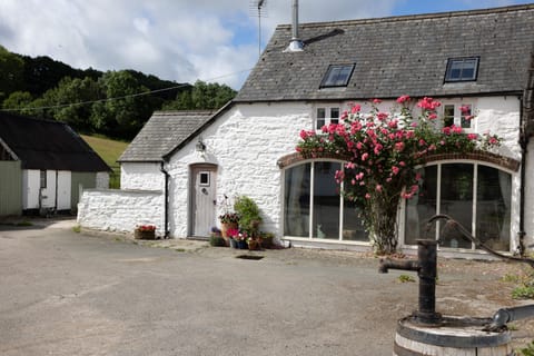 COTTAGE FRONT WITH CLIMBING ROSE IN FULL BLOOM