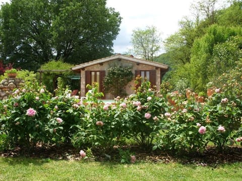 Asale Eredità and English roses
