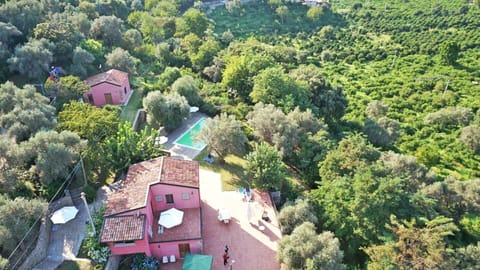 Agricontura from the sky