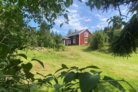 outside view