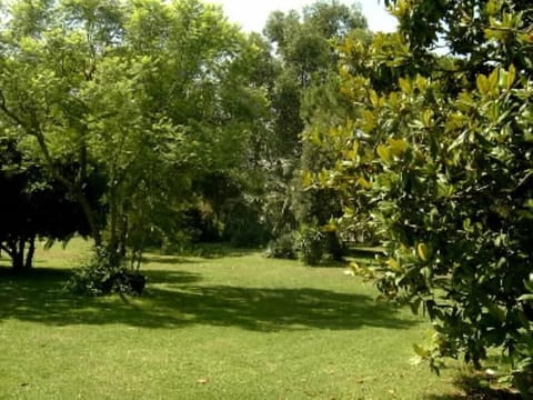 Garden, Park