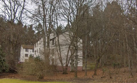 woodland setting next to the Aviemore Centre