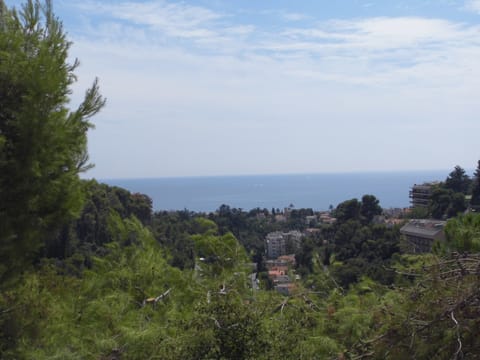 View from the second terrace (downstairs)