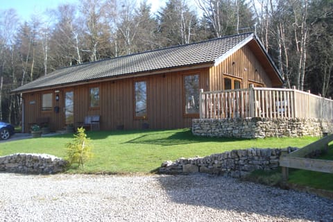 Summer at Larchwood Lodge 