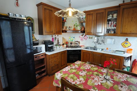 Kitchen fully equipped