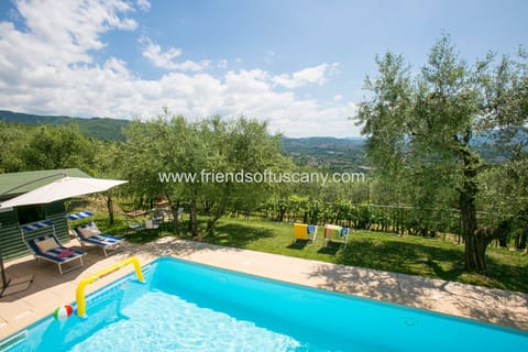 Beautiful garden around the pool