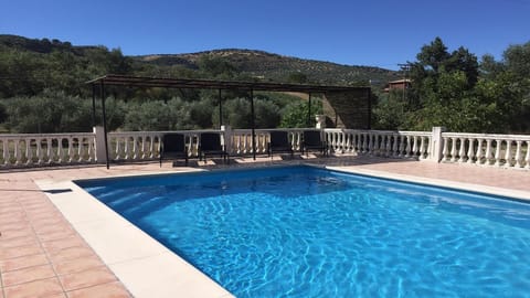 The Pool (shady end)