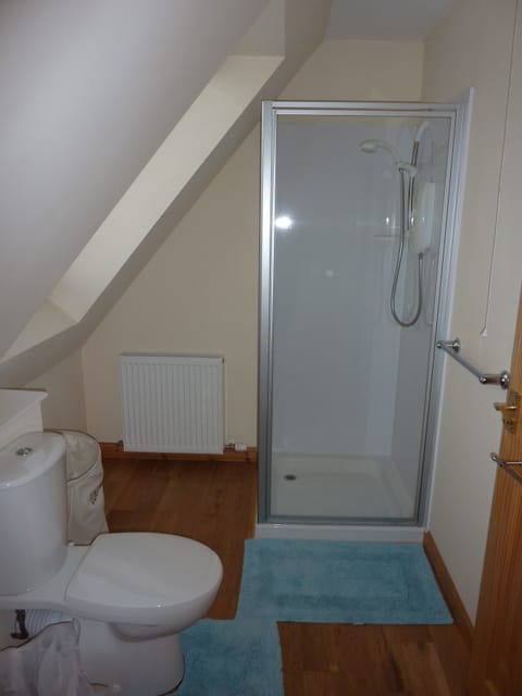 Upstairs' bathroom - shower