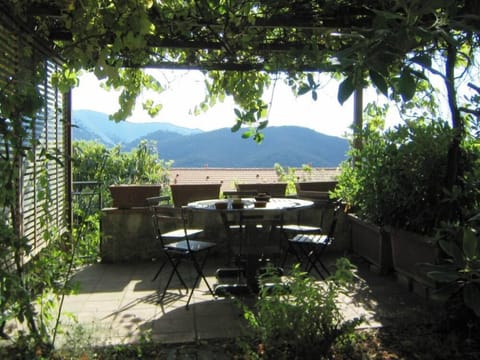 Garden, Park