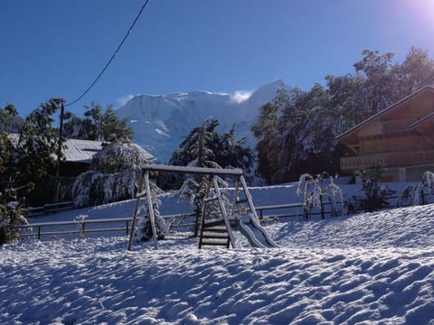 Full view from the chalet on the Mont-Blanc in the winter
