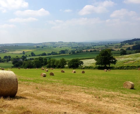 Follow in the footsteps of Shakespeare on one of our local country walks.