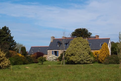 The house and the garden