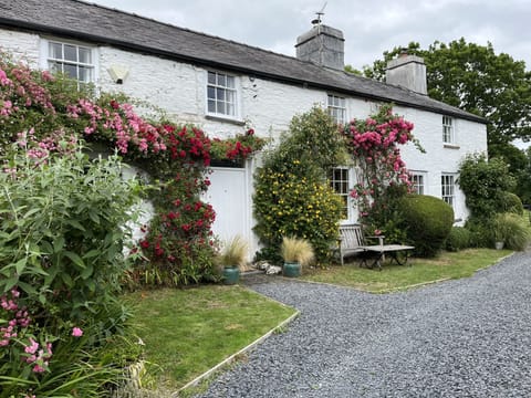 masses of roses cover the house in the summer