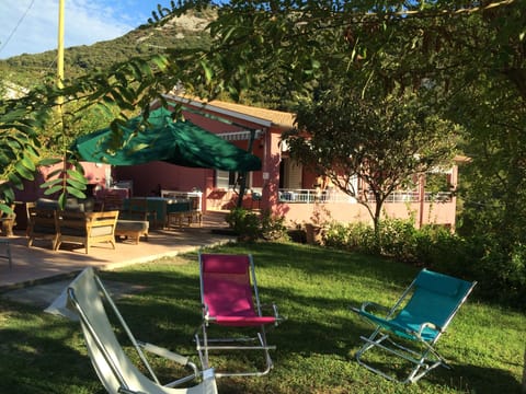 the evening light onto the lawn