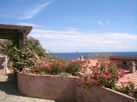 Panoramic view