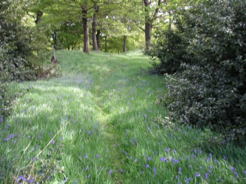 Local path near Castle House Farm 