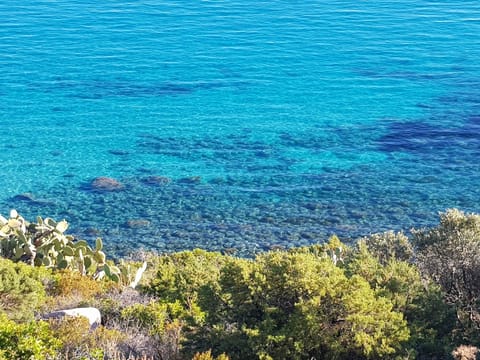 Crystalline waters along the coast, at 8 km (photo taken in May 2020)
