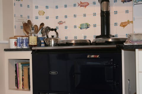 Kitchen with 2 door Aga