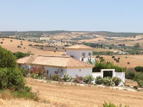 House & Land